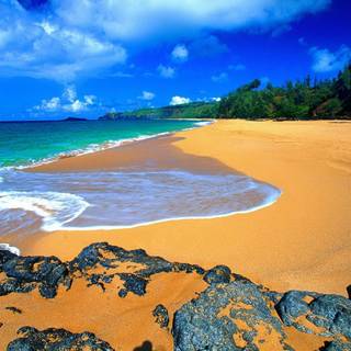 Hawaii beach wallpaper