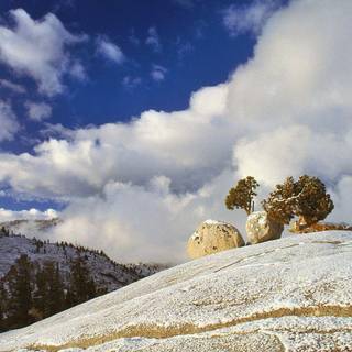 Backgrounds for PC free