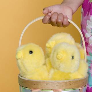 Free happy wallpaper