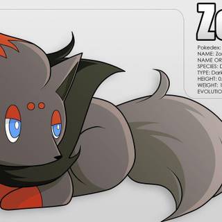 Zorua wallpaper