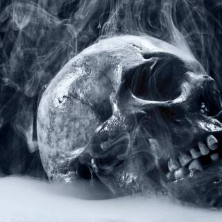 Cool skull backgrounds