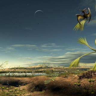 Wallpaper desktop download