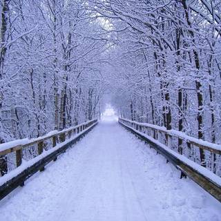 Computer wallpaper winter