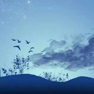 Windows landscape wallpaper