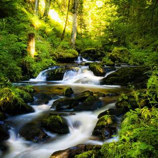 1920 by 1080 HD wallpaper