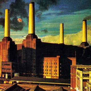 Pink Floyd Animals wallpaper