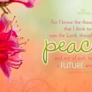 Scripture backgrounds