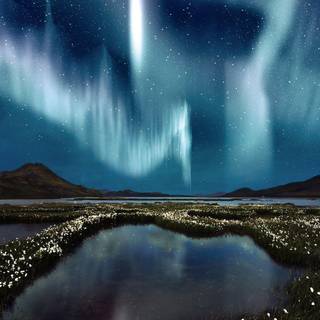 Northern lights wallpaper