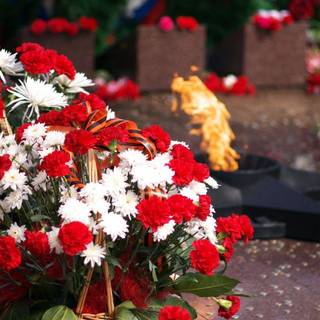 Flower images free download