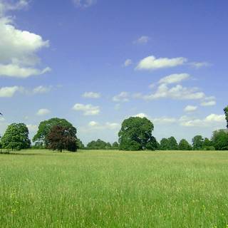 Landscape backgrounds