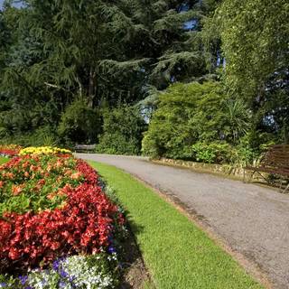 Flower garden backgrounds