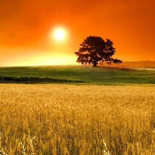 Nice pictures for desktop background