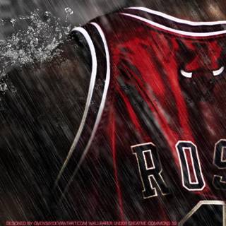 Chicago Bulls HD wallpaper