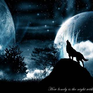Wolves howling wallpaper