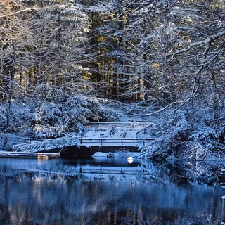 Winter scenery wallpaper