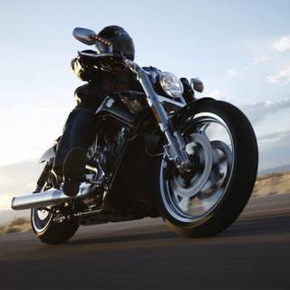 V rod muscle wallpaper