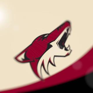Arizona Coyotes wallpaper