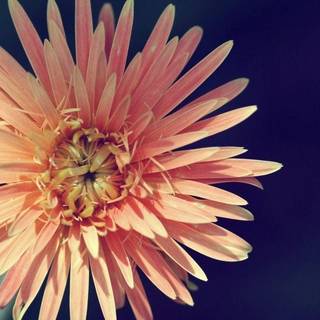 Vintage computer backgrounds