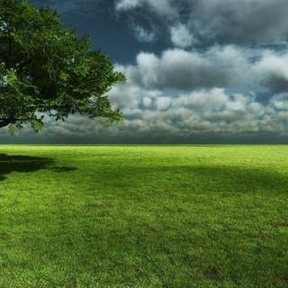 Landscape background images