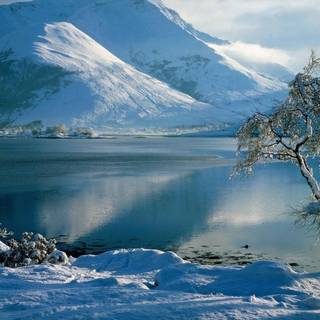 Winter landscape wallpaper