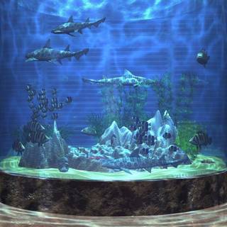 Aquarium background pictures