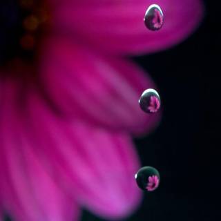 Windows desktop backgrounds