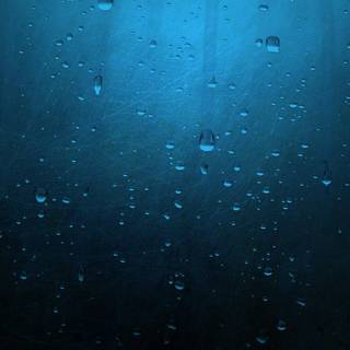 Wallpapers of raindrops