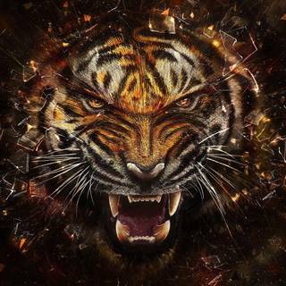 Tiger face wallpaper