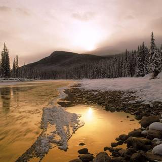 Winter nature wallpaper