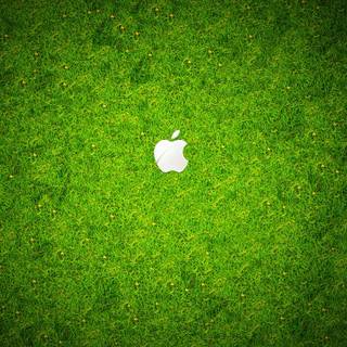 Apple grass wallpaper