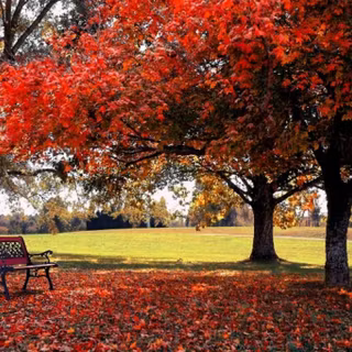 Download wallpaper for PC