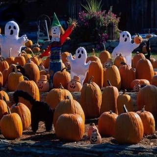 Free wallpaper Halloween