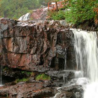 Nature pictures to download