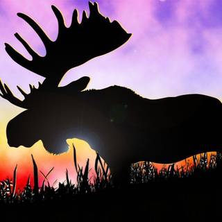 Abercrombie wallpaper