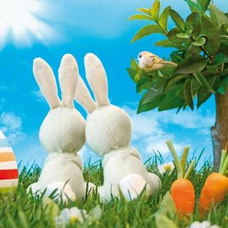 Love cartoon wallpaper