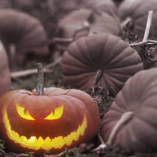 Spooky Halloween wallpaper