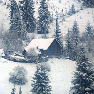 Winter wallpaper 1920x1080