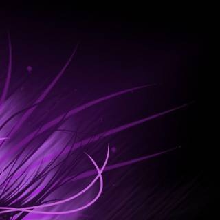 Purple abstract backgrounds