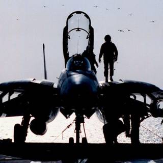F-14 wallpaper