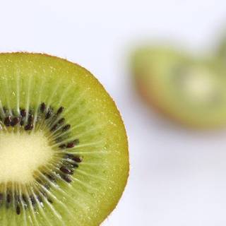 Kiwi wallpaper