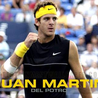 Juan martin del potro wallpaper