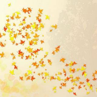 Autumn leaf background