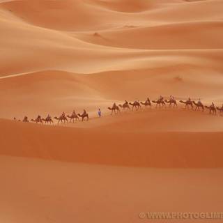 Nexus free desktop wallpaper