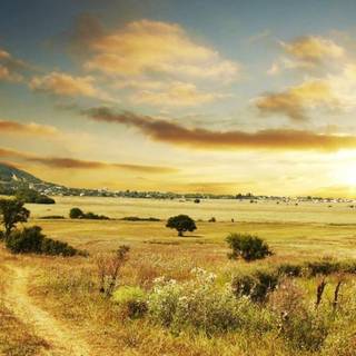 Good desktop wallpaper