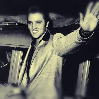Free Elvis wallpaper