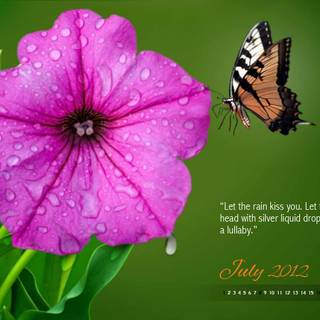 Free wallpaper for computers