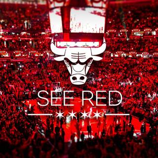 Chicago Bull wallpaper