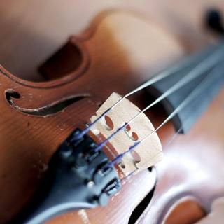 Violin wallpaper