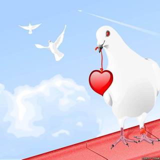 Love wallpaper photos