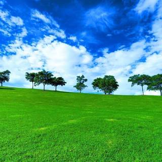 Background nature pictures